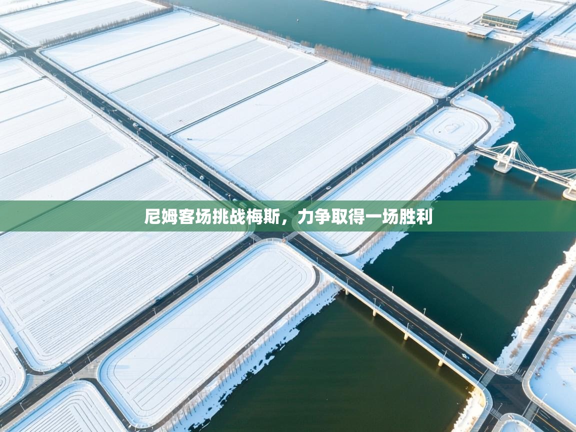 尼姆客场挑战梅斯，力争取得一场胜利  第1张