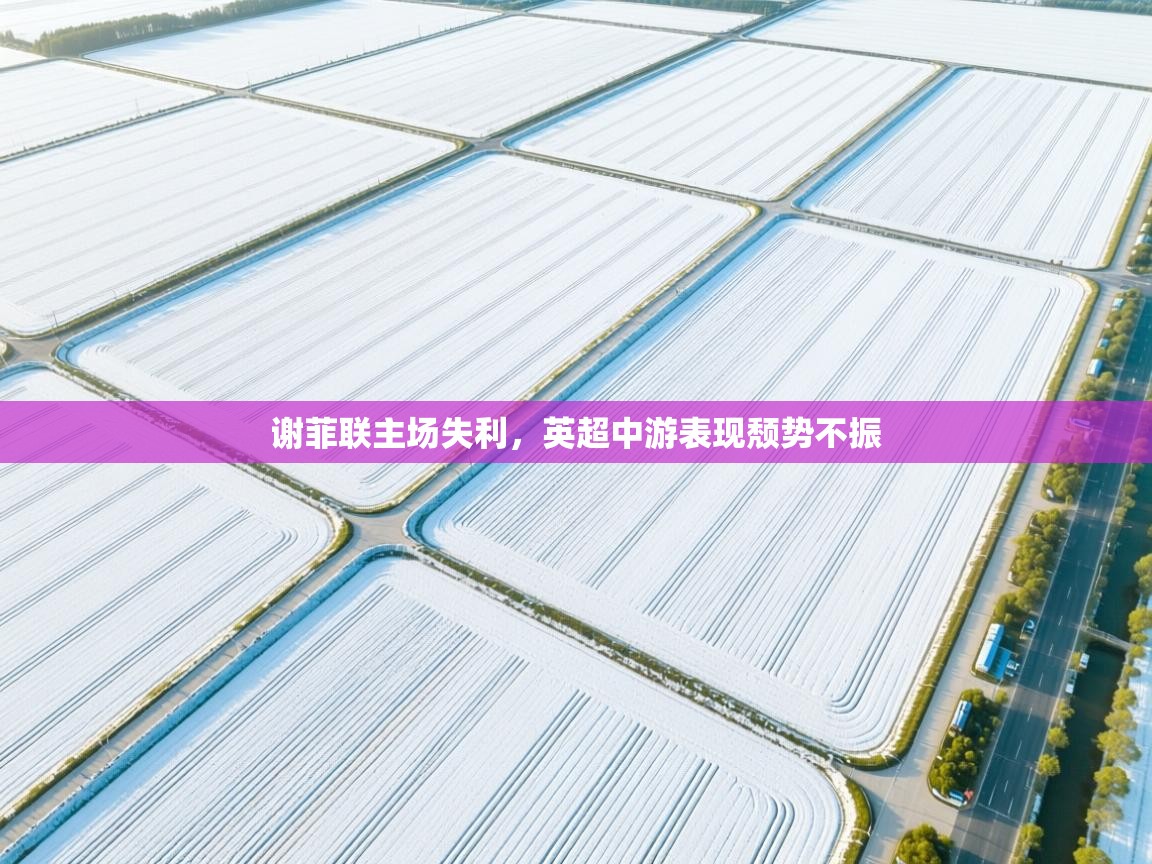 谢菲联主场失利，英超中游表现颓势不振  第2张