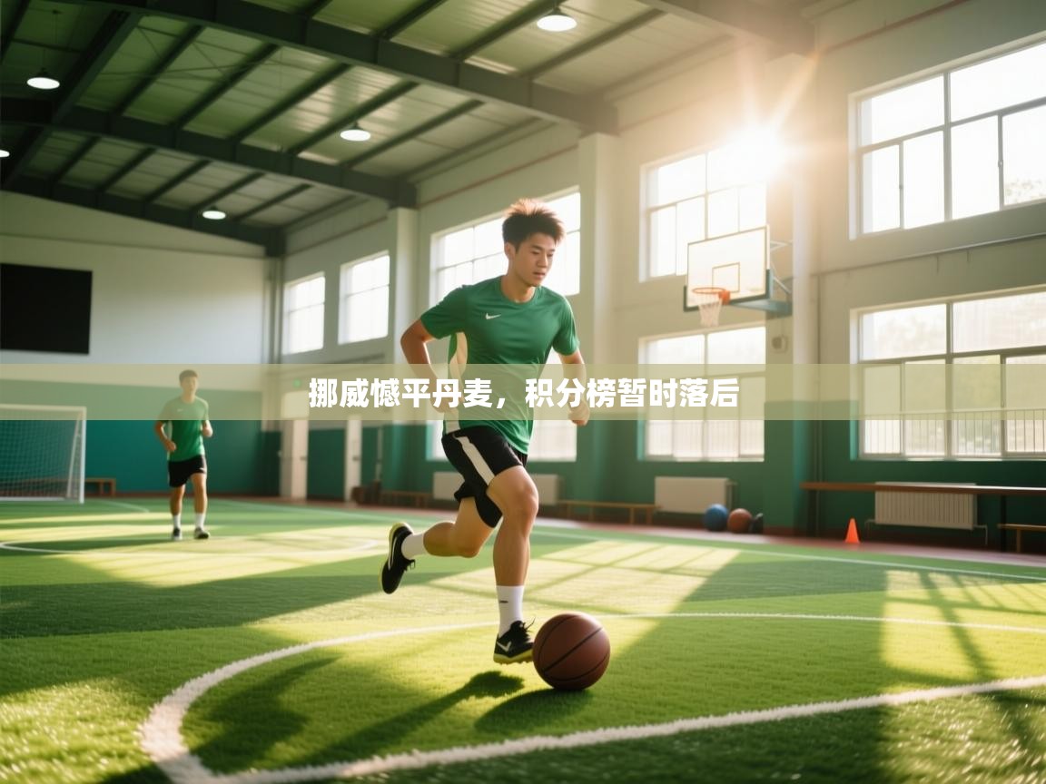 挪威憾平丹麦，积分榜暂时落后  第1张